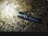 images/v/201206/13396457176_led flashlight (6).jpg